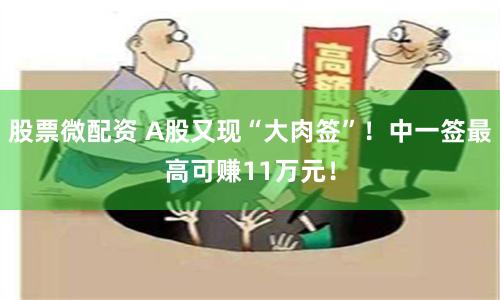 股票微配资 A股又现“大肉签”！中一签最高可赚11万元！