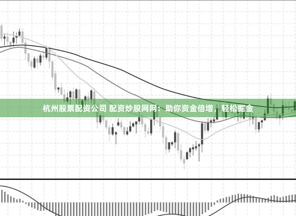 杭州股票配资公司 配资炒股网网：助你资金倍增，轻松掘金