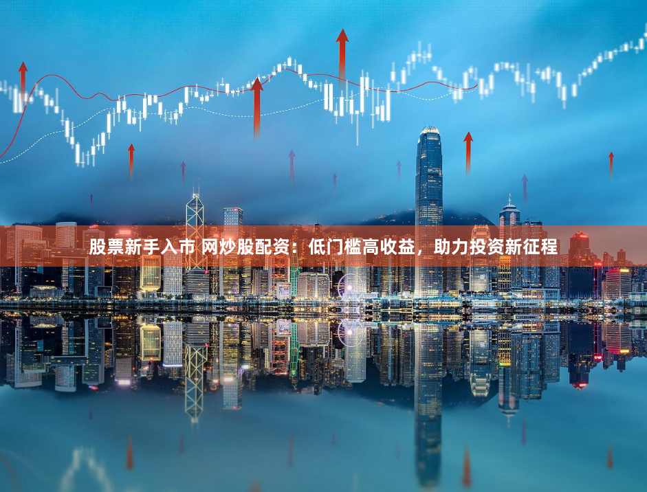 股票新手入市 网炒股配资：低门槛高收益，助力投资新征程