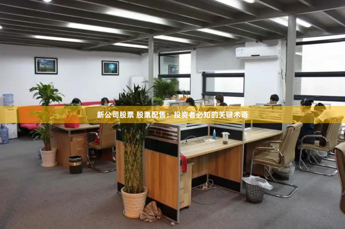 新公司股票 股票配售：投资者必知的关键术语